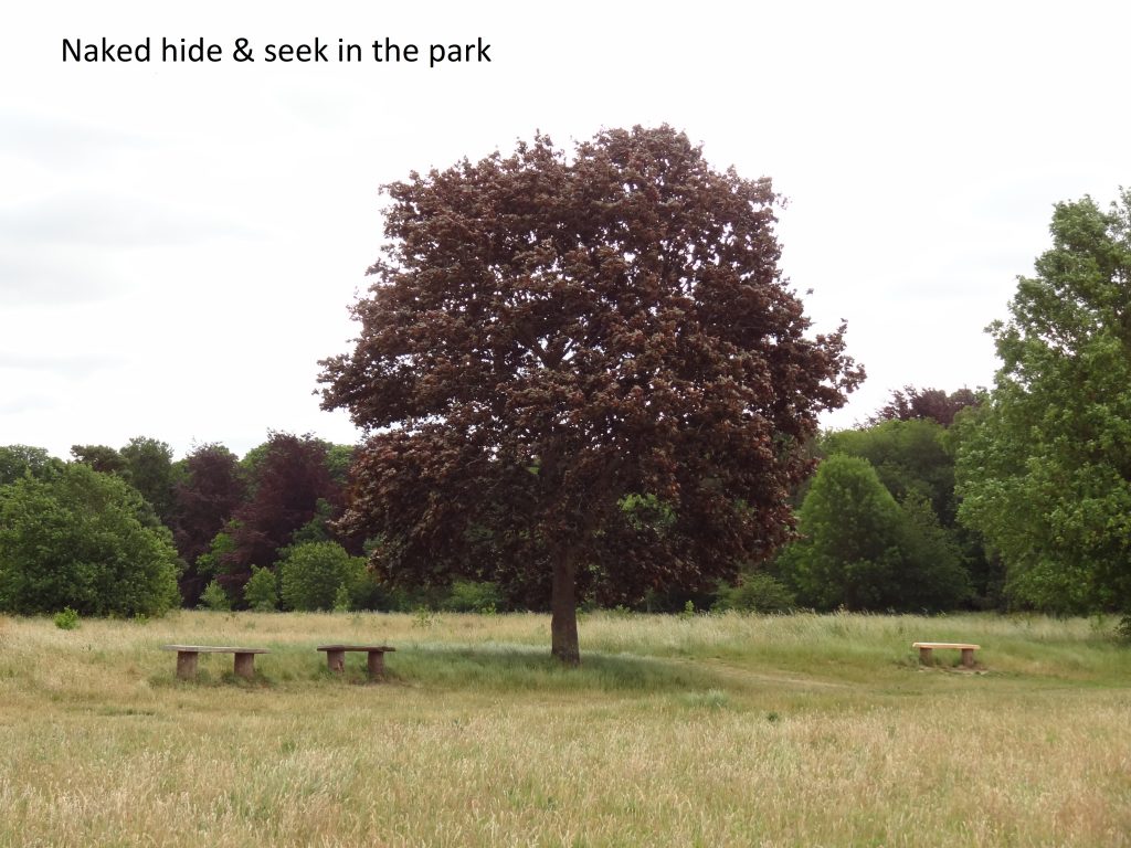 Naked hide and seek